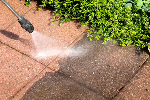 Best Exterior Home Cleaning  in Quitman, GA